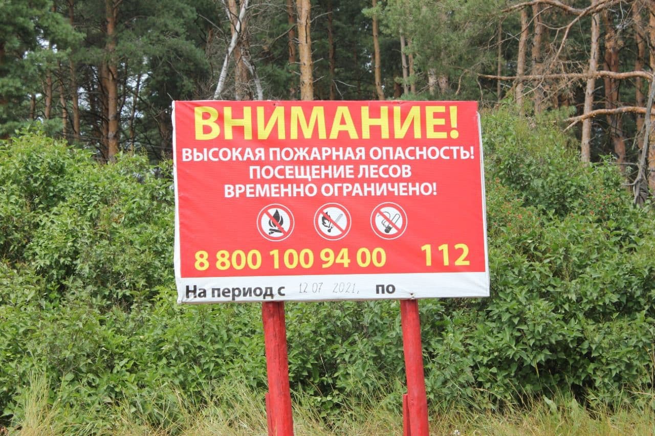 В регионе продлены ограничения на посещение лесов