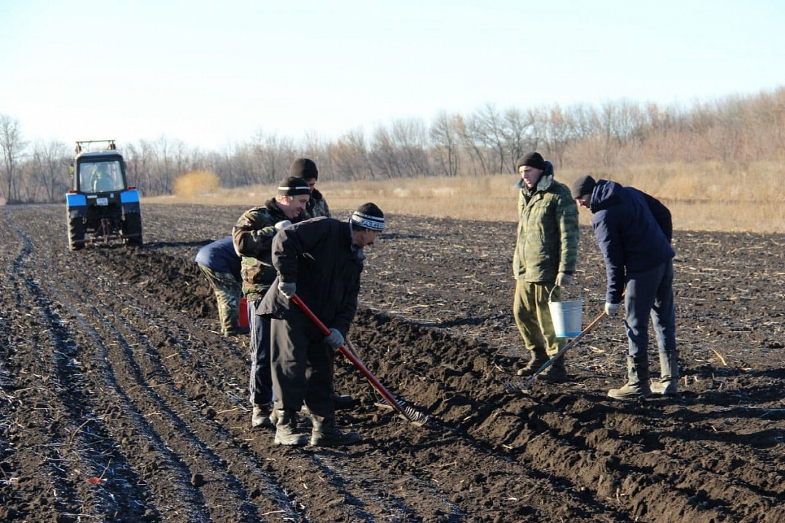 Проводить посевы. Проводить посевы
